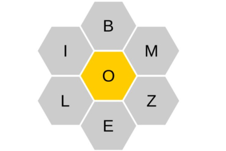 Spelling Bee Answers May 18 19 20 2025 Original 100% Correct, Automatic Winner!