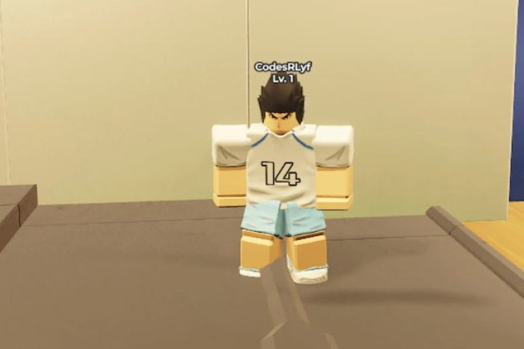 Leaked! Volleyball Legends Today 13 May 2025 Codes, Unlimited Yen and Spin Wheel Tickets!