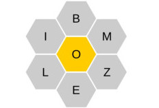 Spelling Bee Answers May 18 19 20 2025 Original 100% Correct, Automatic Winner!