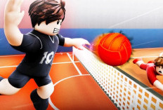List of All Volleyball Legends 2025 Codes Complete Still Active, Claim Now!