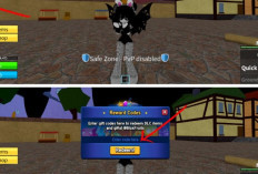 Leaked! Blox Fruit Redeem Codes for Today 11 May 2025, Free 2XP For The Lucky Ones!