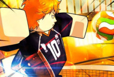 Leaked Volleyball Legends May 22 23 24 2025 Codes, Get Ready to Be an Eternal Winner!