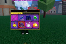 Blox Fruits Redeem Codes May 18 19 20 2025 Still Active, Free 2XP and Reset Stats! 