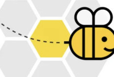 Update! Complete Spelling Bee May 21 22 23 2025, Get the Answer Key Without Hard Work!
