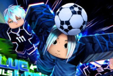 List Blue Lock Rivals Codes May 22 23 24 2025 Just Released! Claim the Rewards Now!
