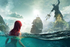 All Mermaid Isle Codes May 2025 Just Released, Becoming a Target for Players!